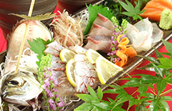 料理長厳選 お造り盛り合わせ